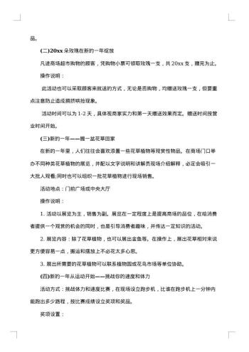 元旦促销方案