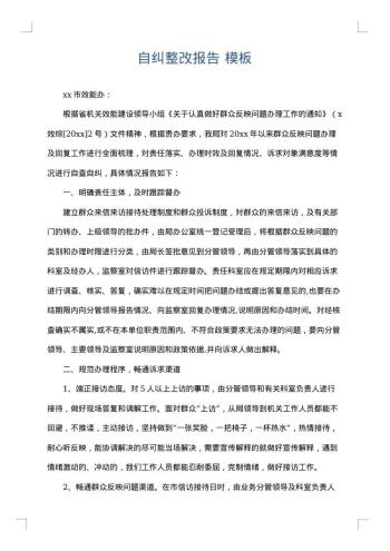 自纠整改报告