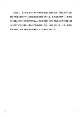 公司财务审计年终工作总结