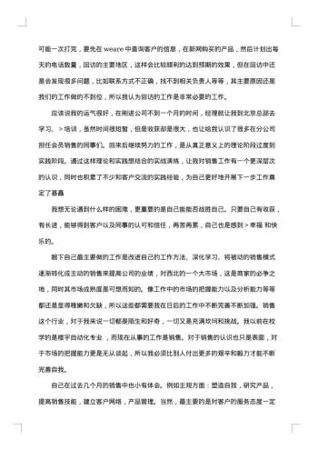 销售员试用期的工作总结