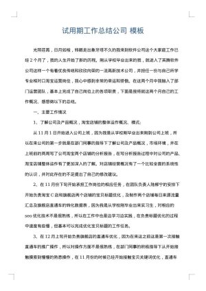 试用期工作总结公司