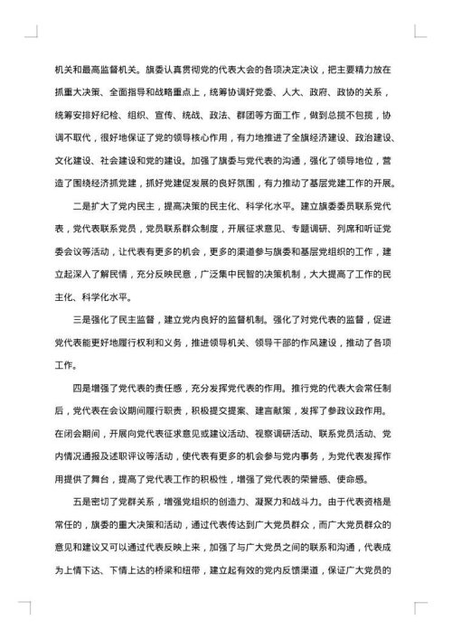 党的代表大会年会工作总结