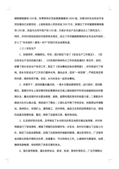 乡2025年上半年工作总结