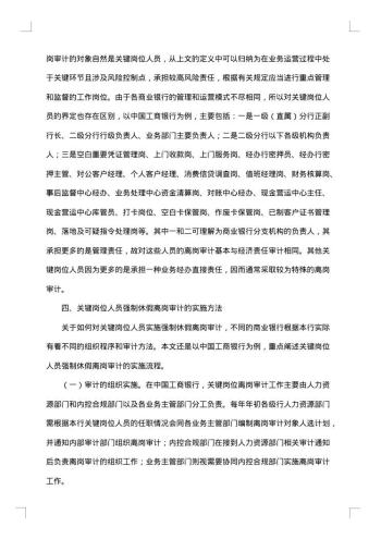 审计调查报告