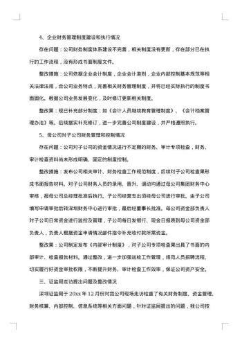 自查自纠整改报告