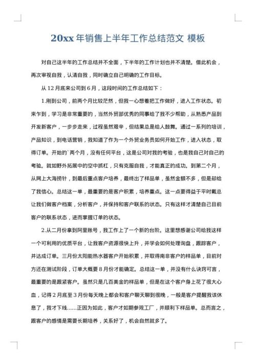 2025年销售上半年工作总结范文