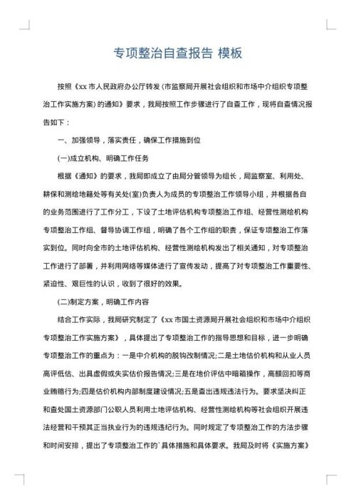 专项整治自查报告