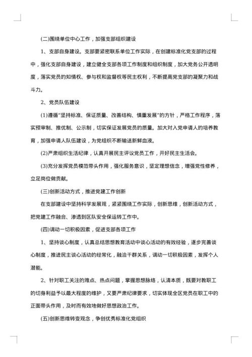 2025年党支部述职报告
