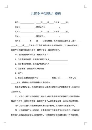 共同财产制契约