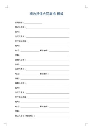 精选担保合同集锦
