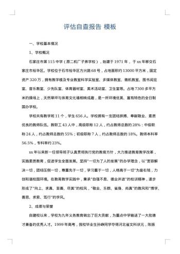 评估自查报告