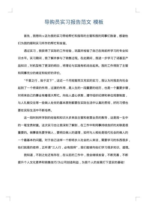 导购员实习报告范文