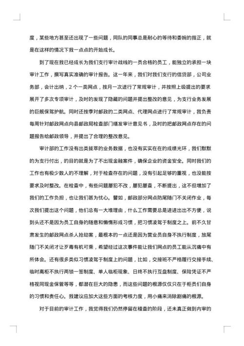 银行审计员个人工作总结