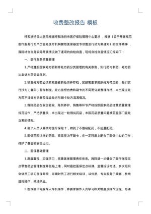 收费整改报告