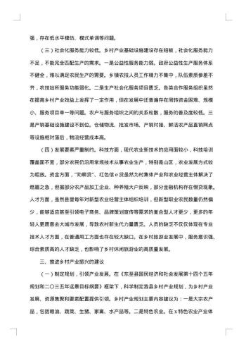 有关于乡村振兴的调研报告