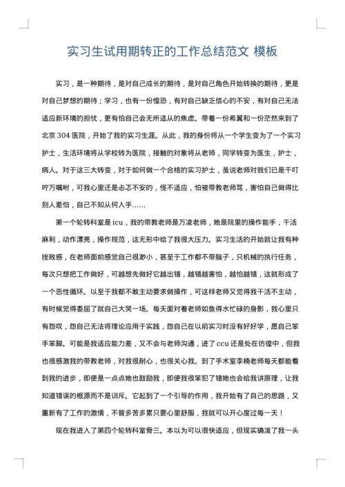 实习生试用期转正的工作总结范文