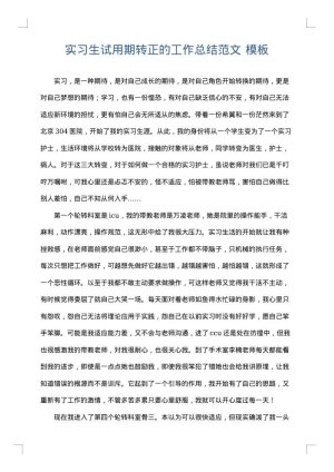 实习生试用期转正的工作总结范文