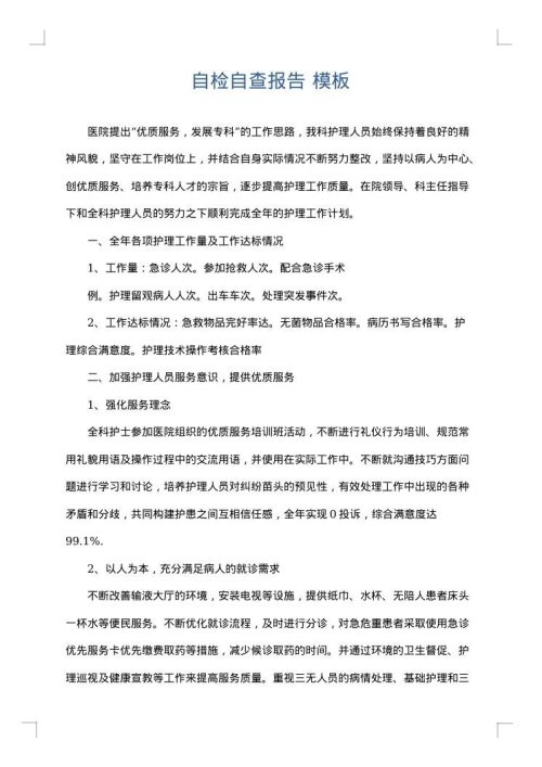 自检自查报告