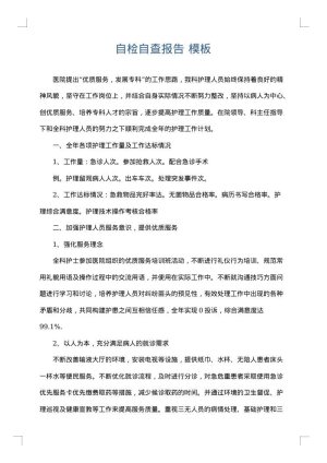 自检自查报告