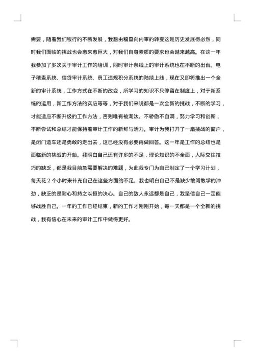 银行审计员个人工作总结