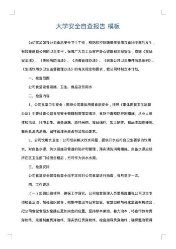 大学安全自查报告