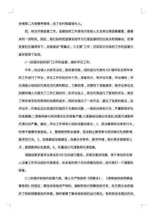 乡镇人大年终工作总结及工作计划