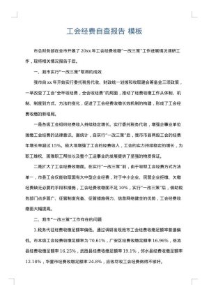 工会经费自查报告