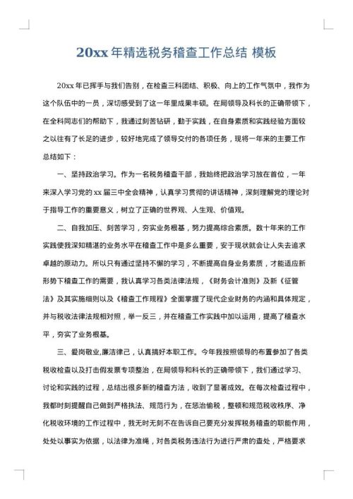 2025年精选税务稽查工作总结