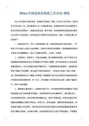 2025年精选税务稽查工作总结