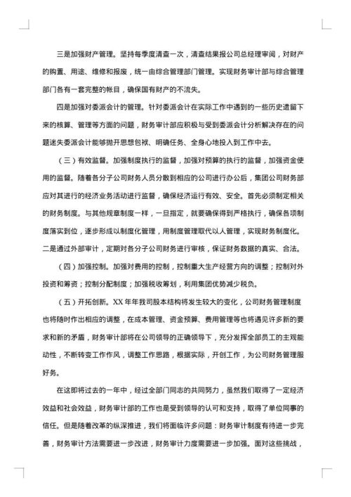 财务年度总结模板集锦