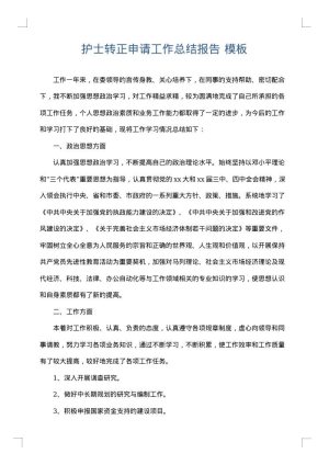 护士转正申请工作总结报告