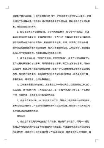 业务员试用期个人工作总结