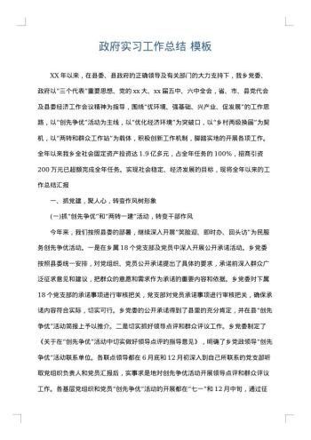 政府实习工作总结