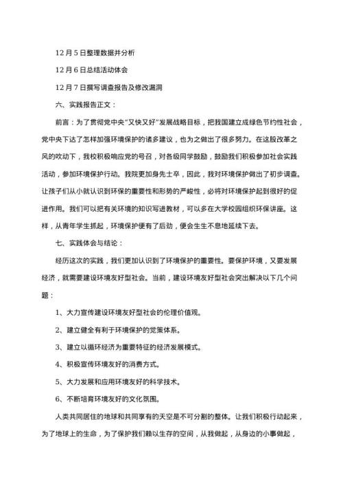 2025年社会实践调查报告范文12 word模板下载