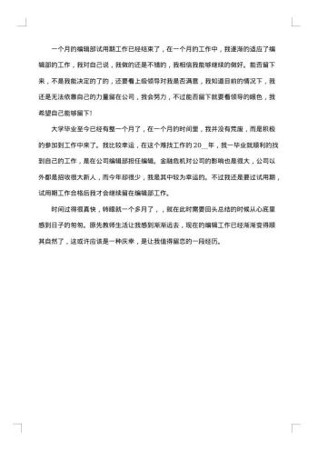 试用期工作总结公司