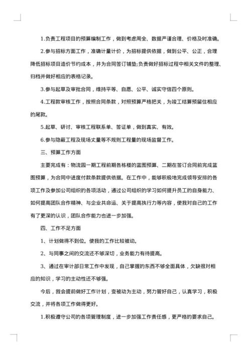 公司财务审计年终工作总结
