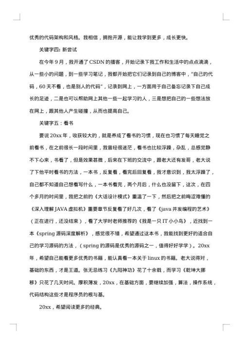2025年程序员个人工作总结范文