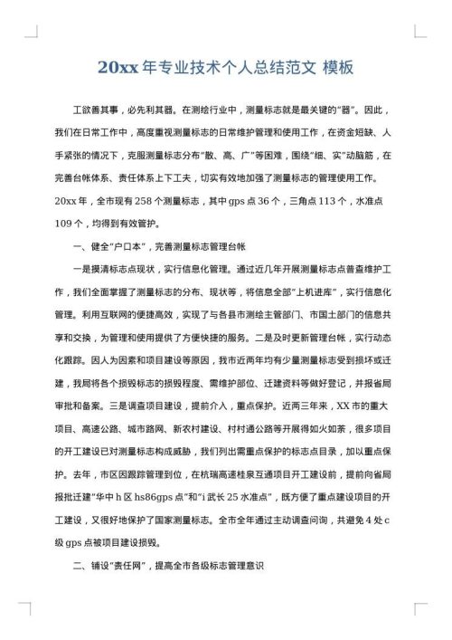 2025年专业技术个人总结范文