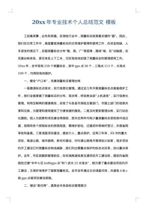 2025年专业技术个人总结范文