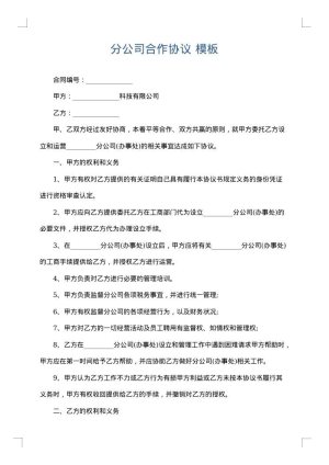 分公司合作协议