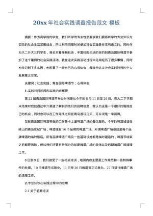 2025年社会实践调查报告范文