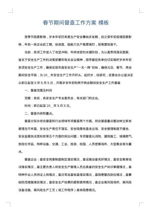 春节期间督查工作方案
