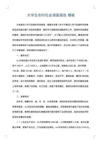 大学生农村社会调查报告