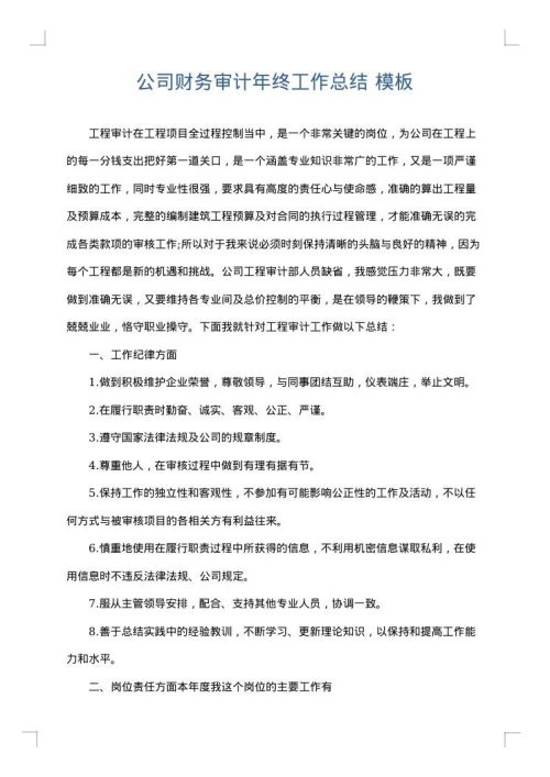 公司财务审计年终工作总结