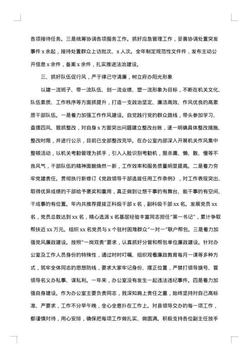 2025年办公室主任通用工作总结范文