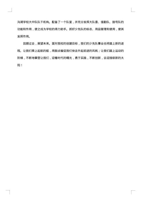 精选少先队活动总结