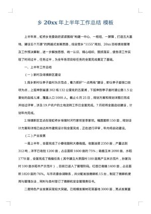 乡2025年上半年工作总结
