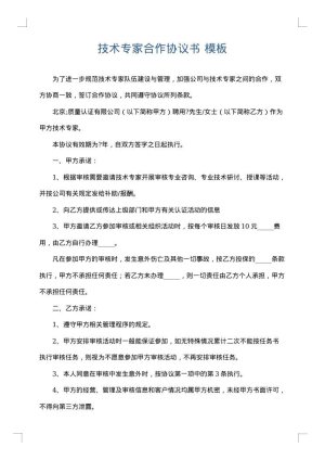 技术专家合作协议书