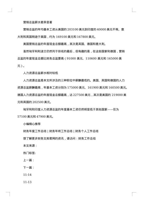 财务总监工作个人总结