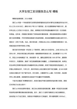 大学生钳工实训报告怎么写 免费下载